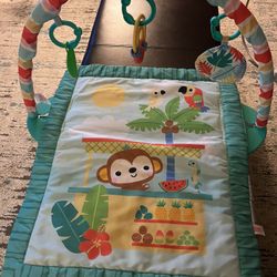 Baby Activity Gym And Play Mat 