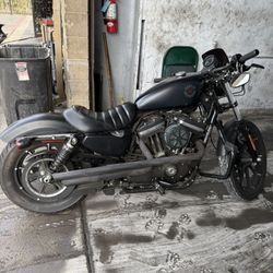 2020 Harley Davidson Iron 883