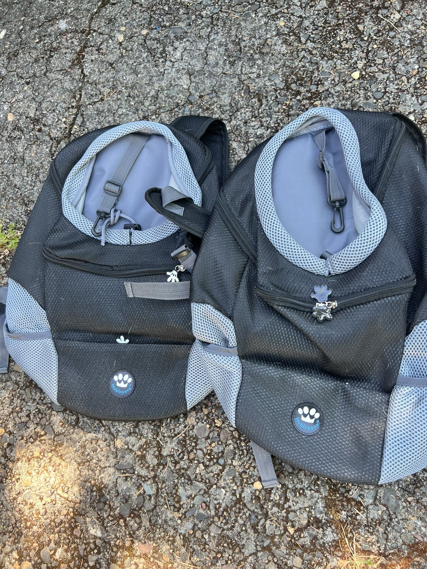 Back Packs For Small Dogs Or Cats