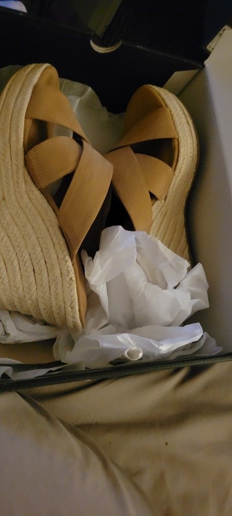 Torrid Wedges