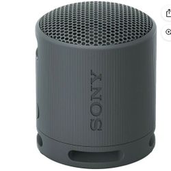 Sony SRSXB100 Bluetooth Portable Speaker