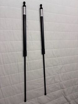 Gas Struts