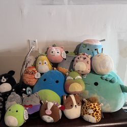 Squishmallows 