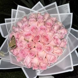 Pink Roses 