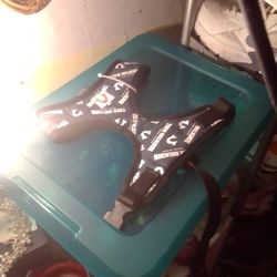 True Religion Dog Harness 