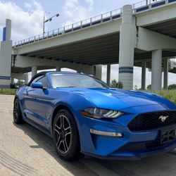 2020 Ford Mustang 