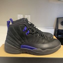 Jordan 12 Dark Concord