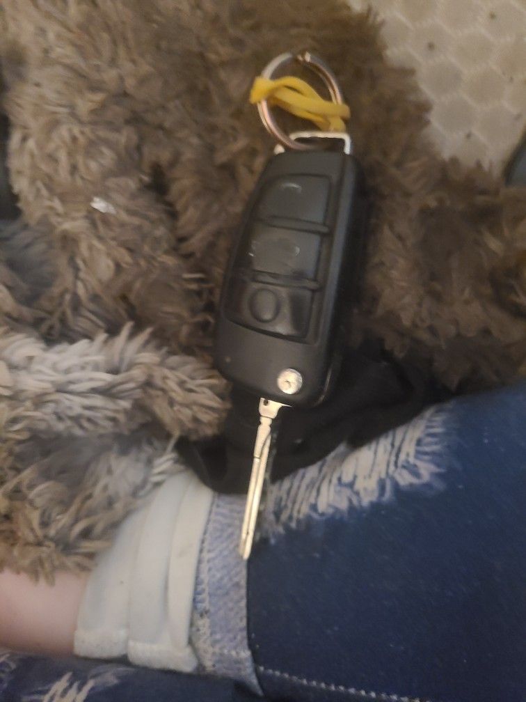 Audi Remote Wurekjww