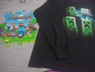 Minecraft lot
