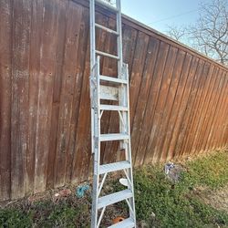 Convertible Ladder 6 To 12 Ft
