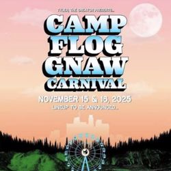 (2) Camp Flog Gnaw Wristbands 