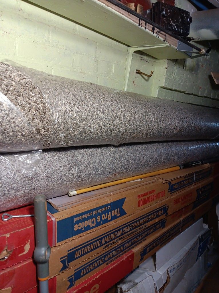 New Carpet 4 Different Colors And Length