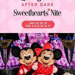 Disneyland Sweetheart NIGHT Trade