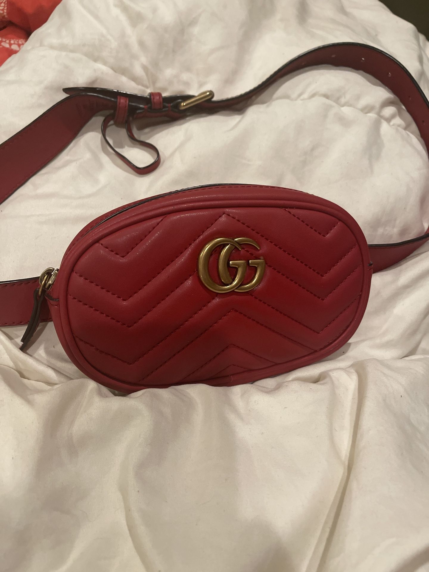 Maltese Gucci Belt Bag