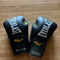 Everlast boxing gloves for training #boxing #fitness