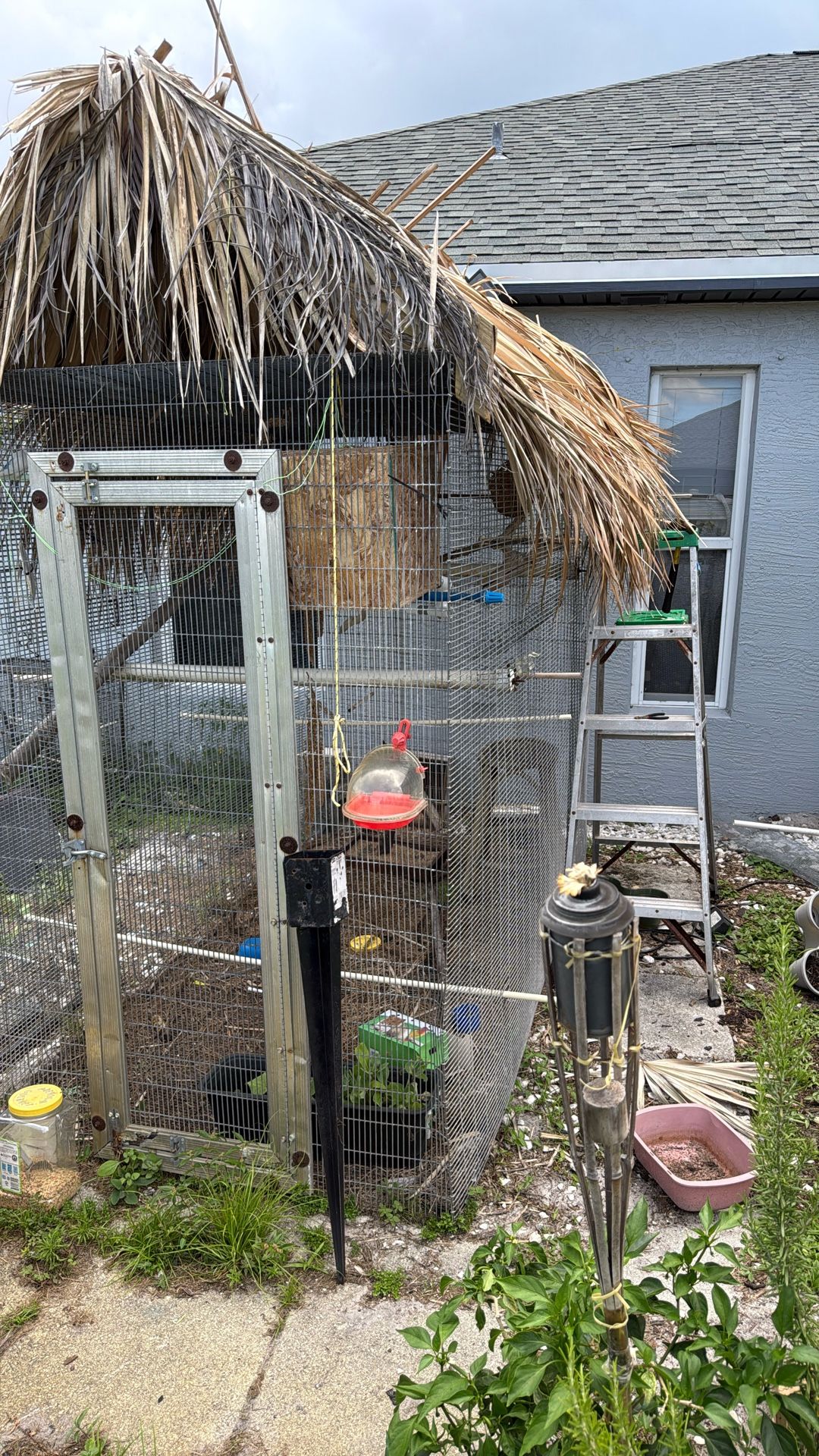 Bird Cage