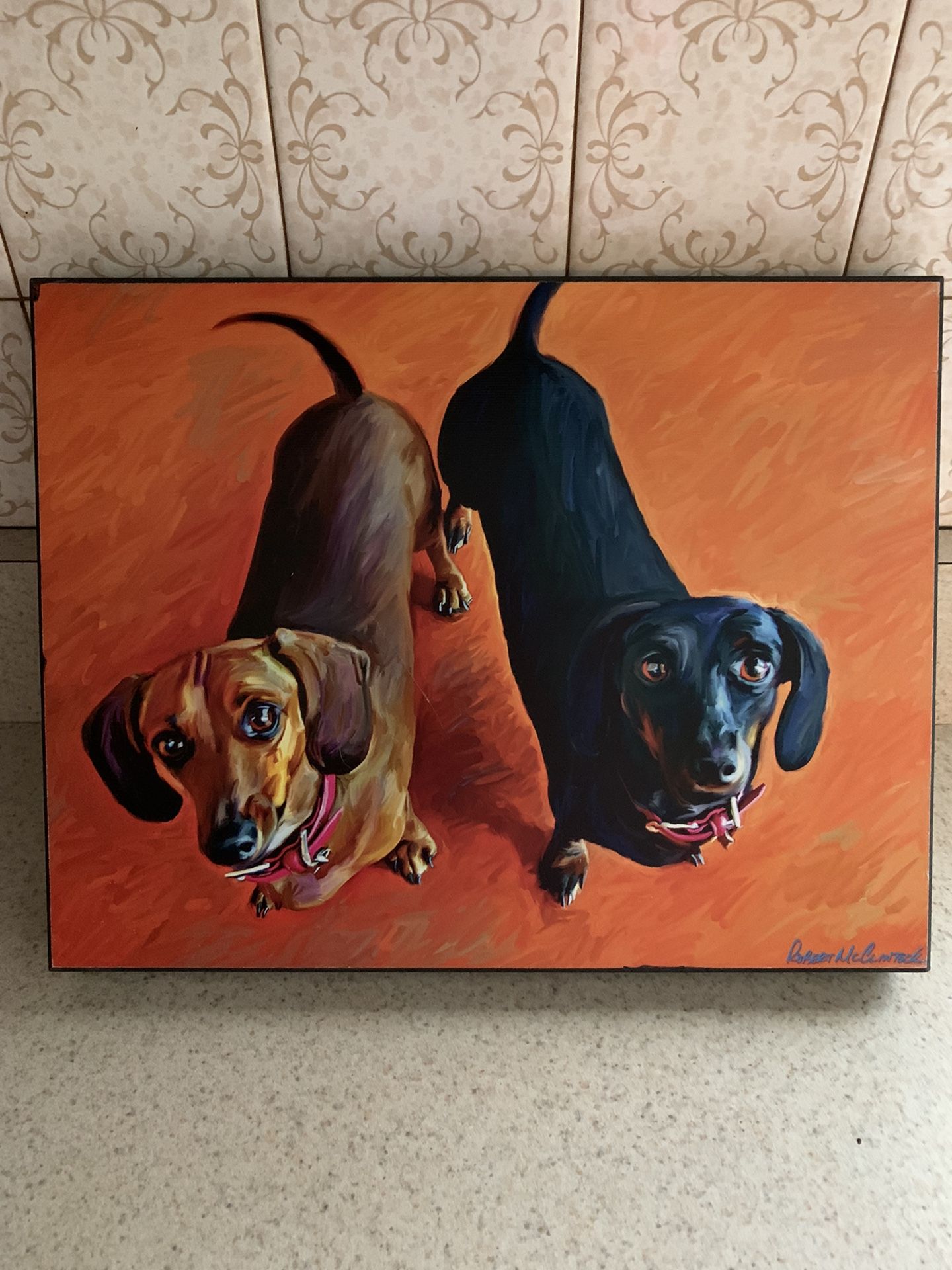 Adorable Dachshund Picture
