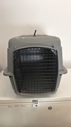 Kennel