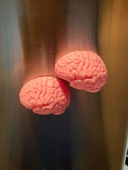 brain magnets