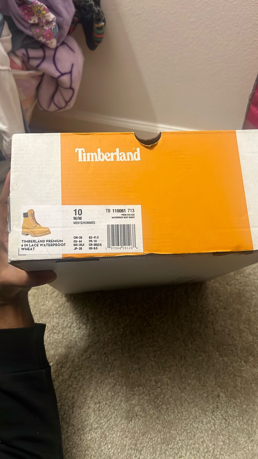 TimberLand 