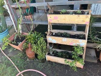 Moving plant sale