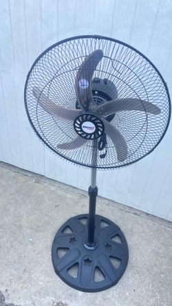 Fan