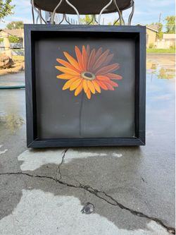 Flower framed picture