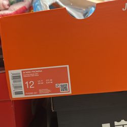 Nike Shoe 