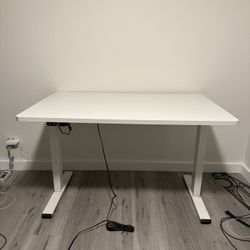 Flexispot 48x30 Inch Adjustable Standing Desk 