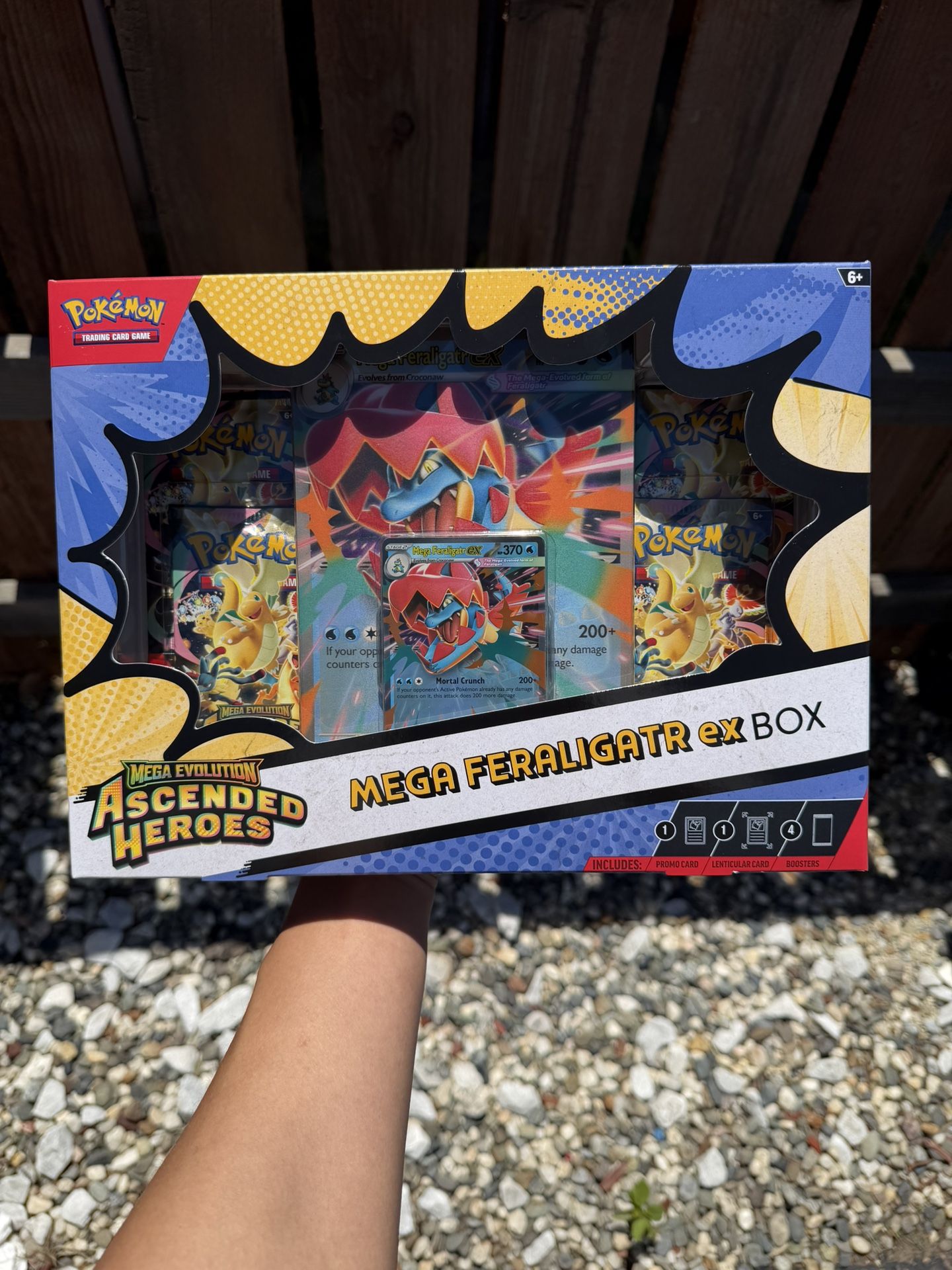 Pokemon Ascended Heroes Mega Feraligatr Ex Box