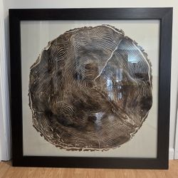 Paragon “Timber II” – 36” x 36” Framed Wall Art