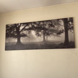 Forest Picture