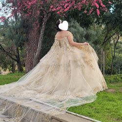 Quinceañera Dress