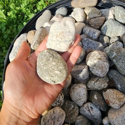 Garden Landscape Rocks