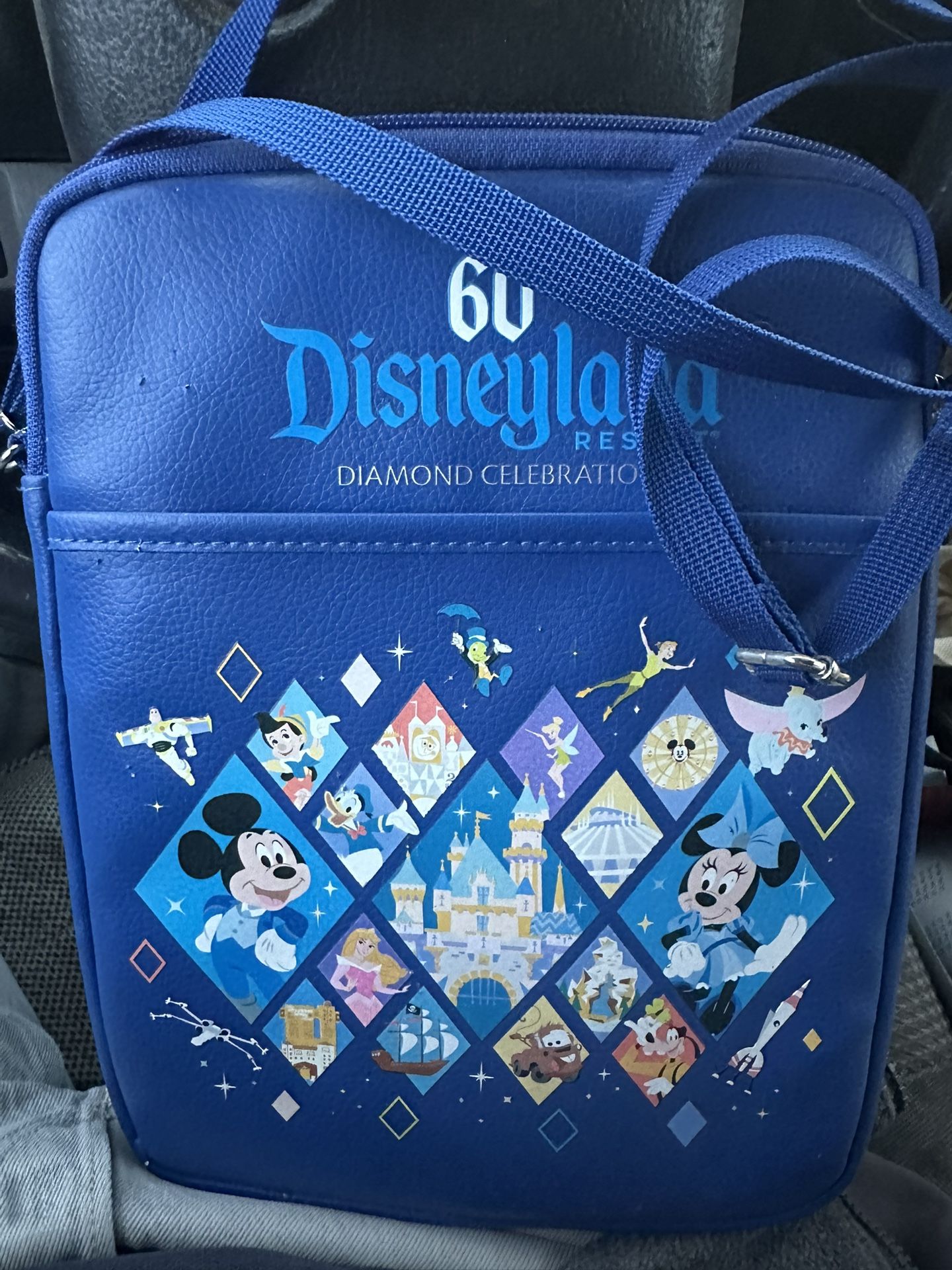 Disneyland Resort