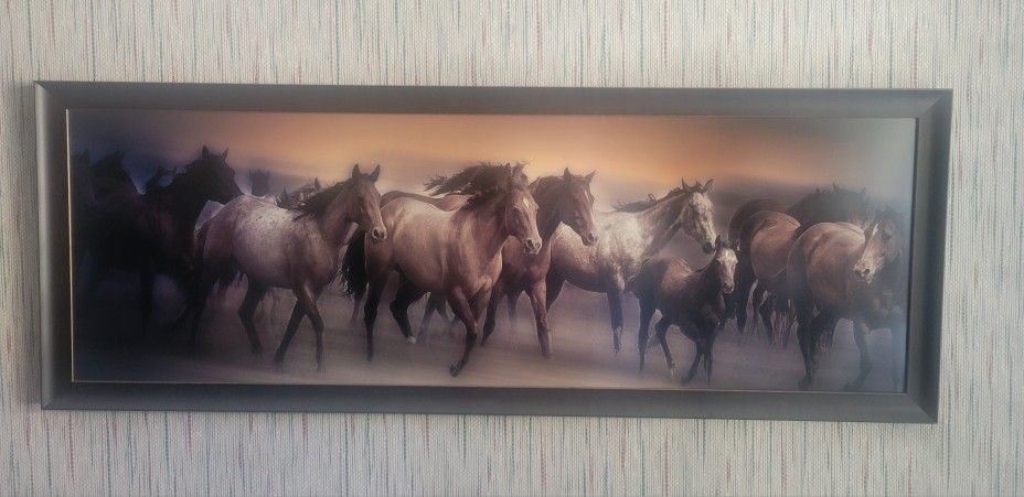 Galloping Horses at Sunset  - Framed Print