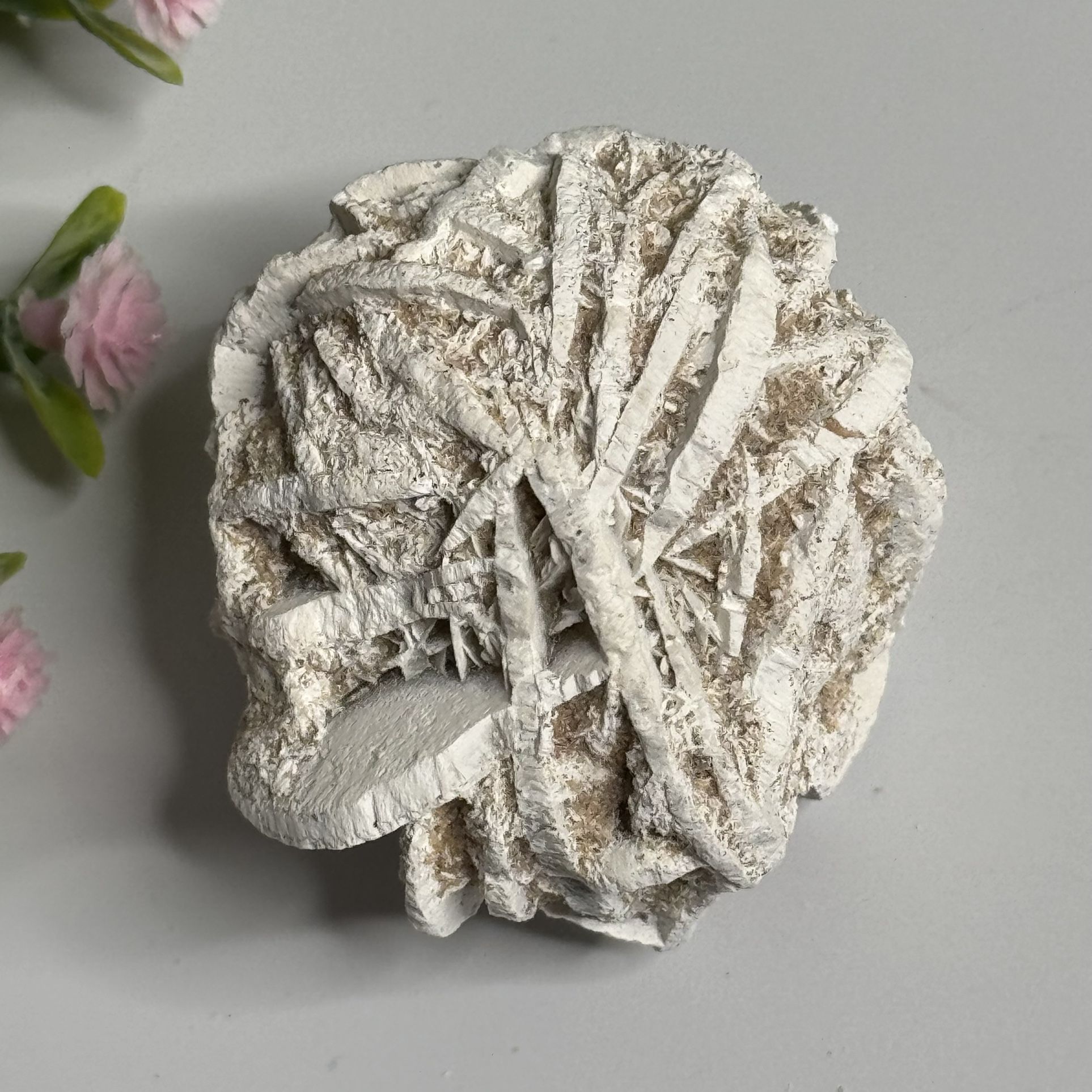 Natural Desert Rose