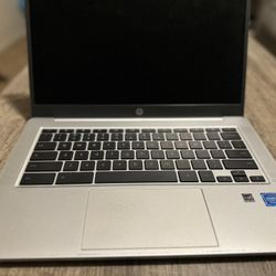 Hp Chromebook
