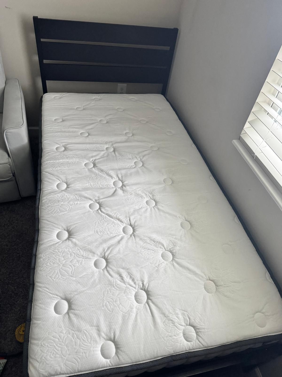 Bed Couches
