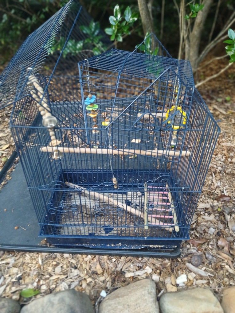 Bird Cage