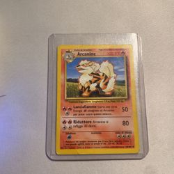 At canine First Edition Shadowless 