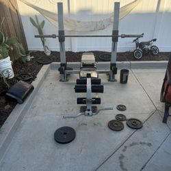 Bench Press