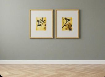 Two framed pictures 📏 17" x 21" 🪝 Ready to hang