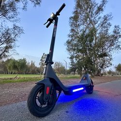Electric Scooter 