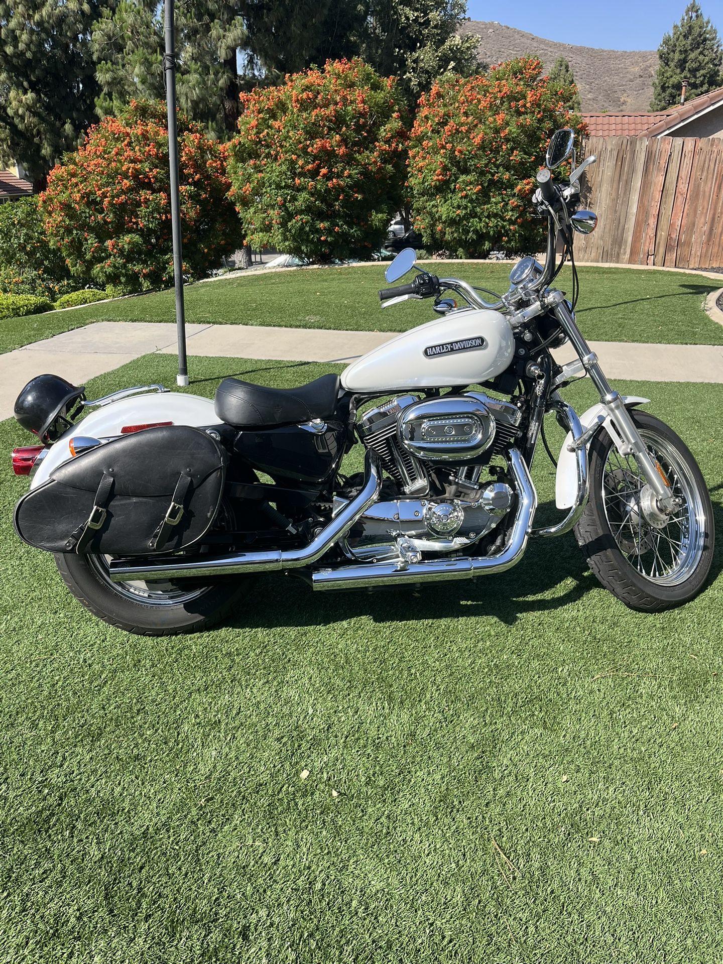 2006 Harley Davidson 1200XL