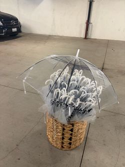 Clear Umbrellas  (80 count)