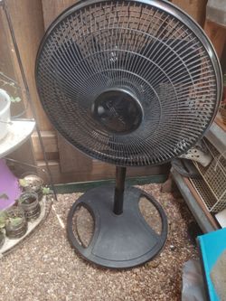 Fan $30