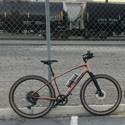 Trek Bike  Dual Sport 3 Gen 5