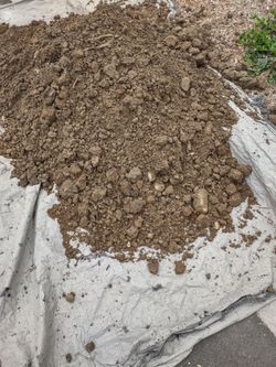 Free Fill Dirt - will deliver for free too