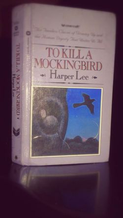 To kill a mocking book